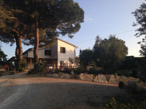 Agriturismo I Due Pini Magliano In Toscana